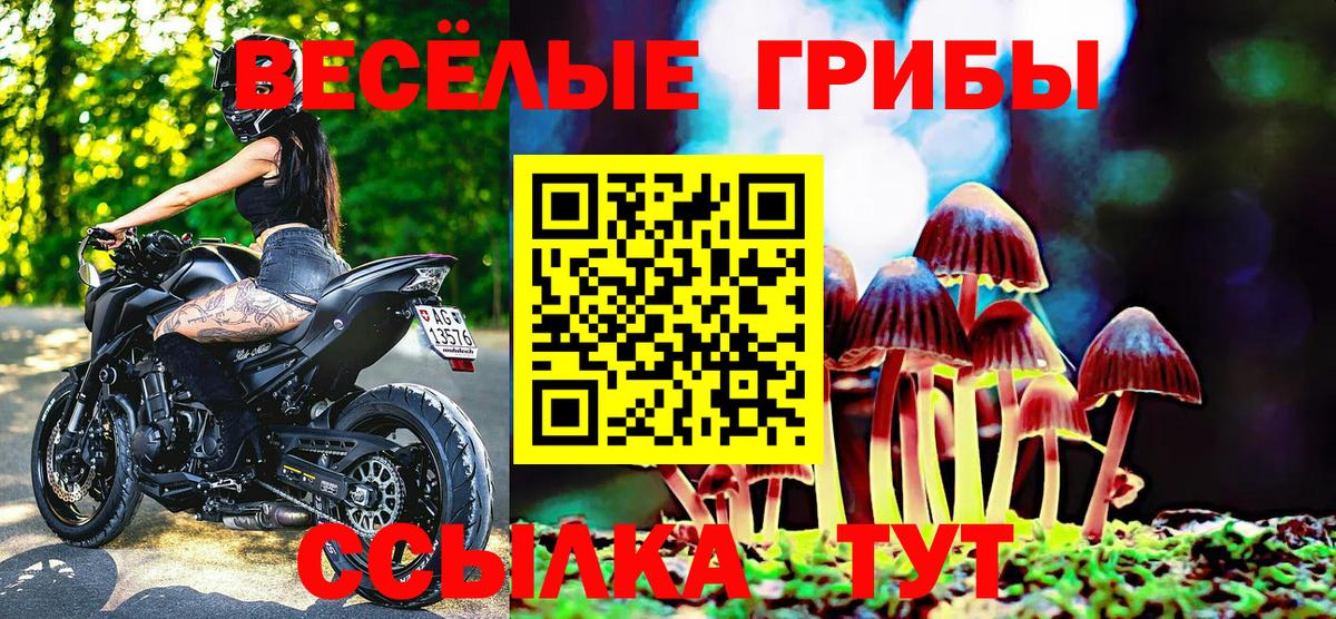 Галлюциногенные грибы GOLDEN TEACHER  Галлюциногенные грибы прущие грибы  Котовск  Вход с VPN 